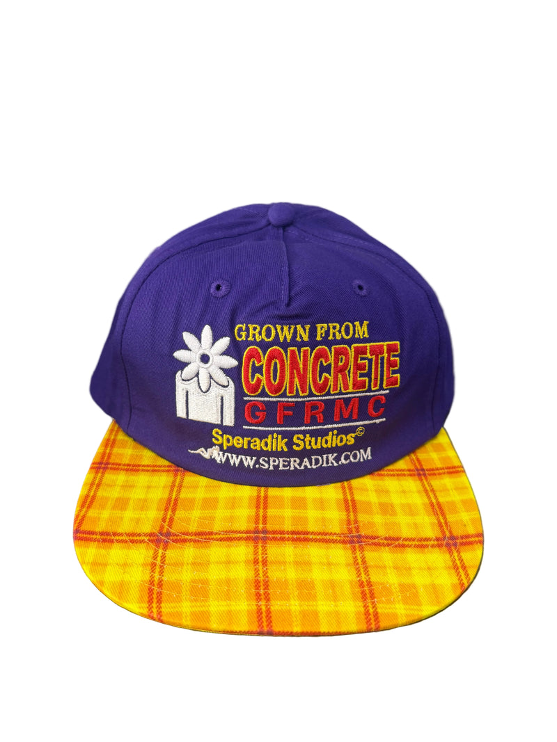 Speradik Plaid Hat — Purple